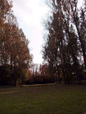 B-Herbststimmung 028.jpg